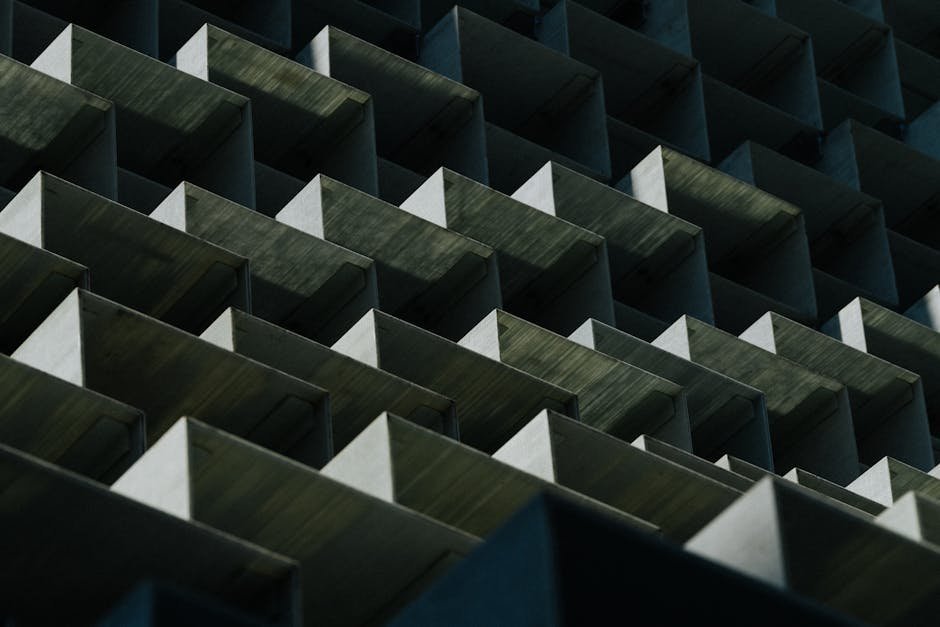 pexels-photo-2346594-2346594.jpg